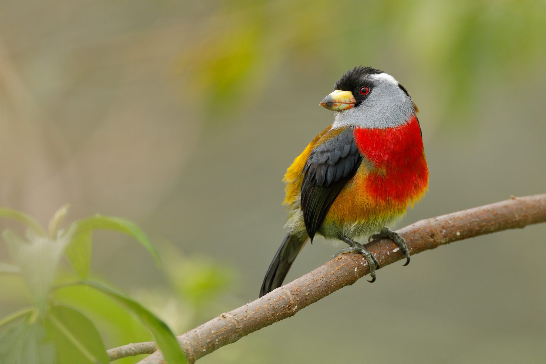 Bird Photography Tour