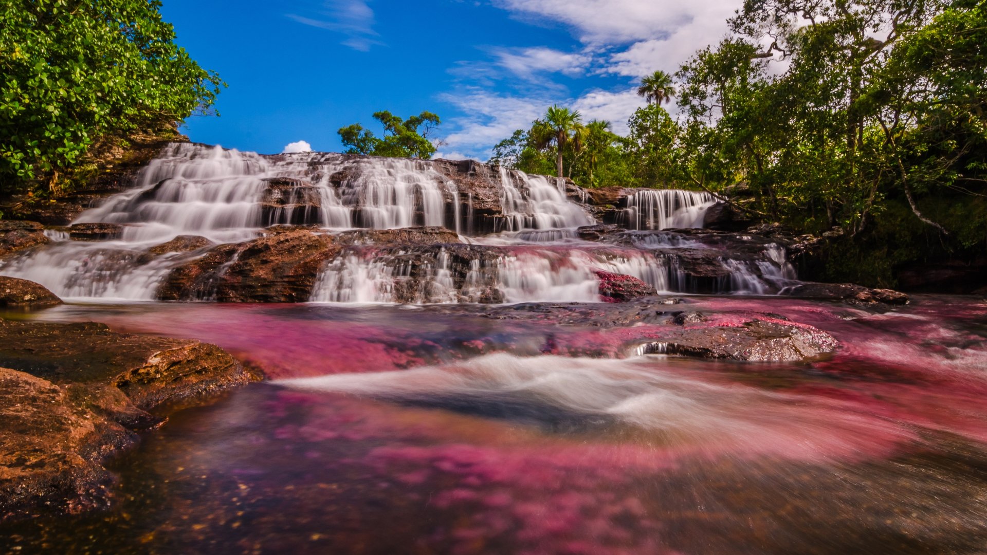 Caño Cristales & Llanos Wildlife Photo Expedition