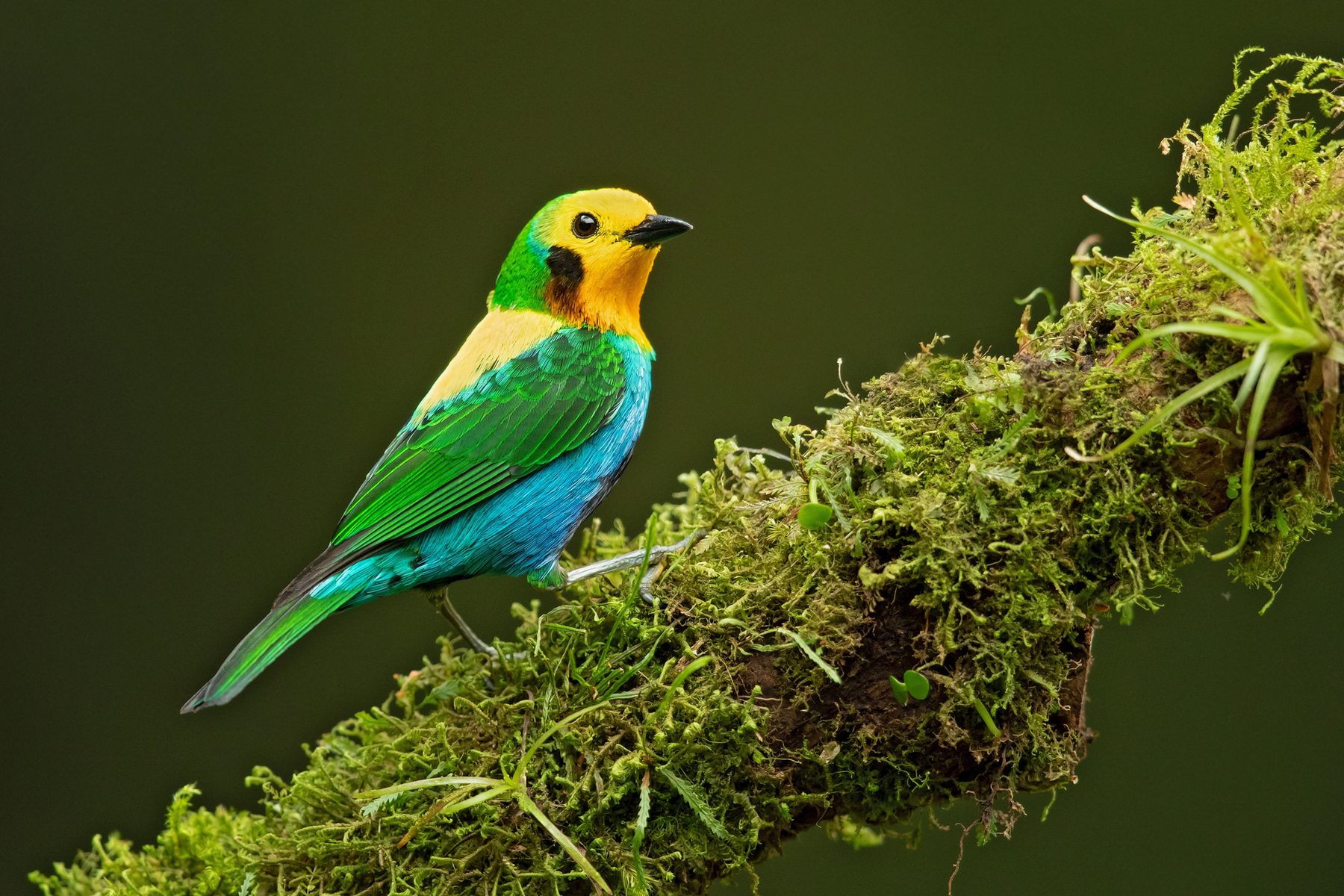 Bird Photography Tour — photo 3