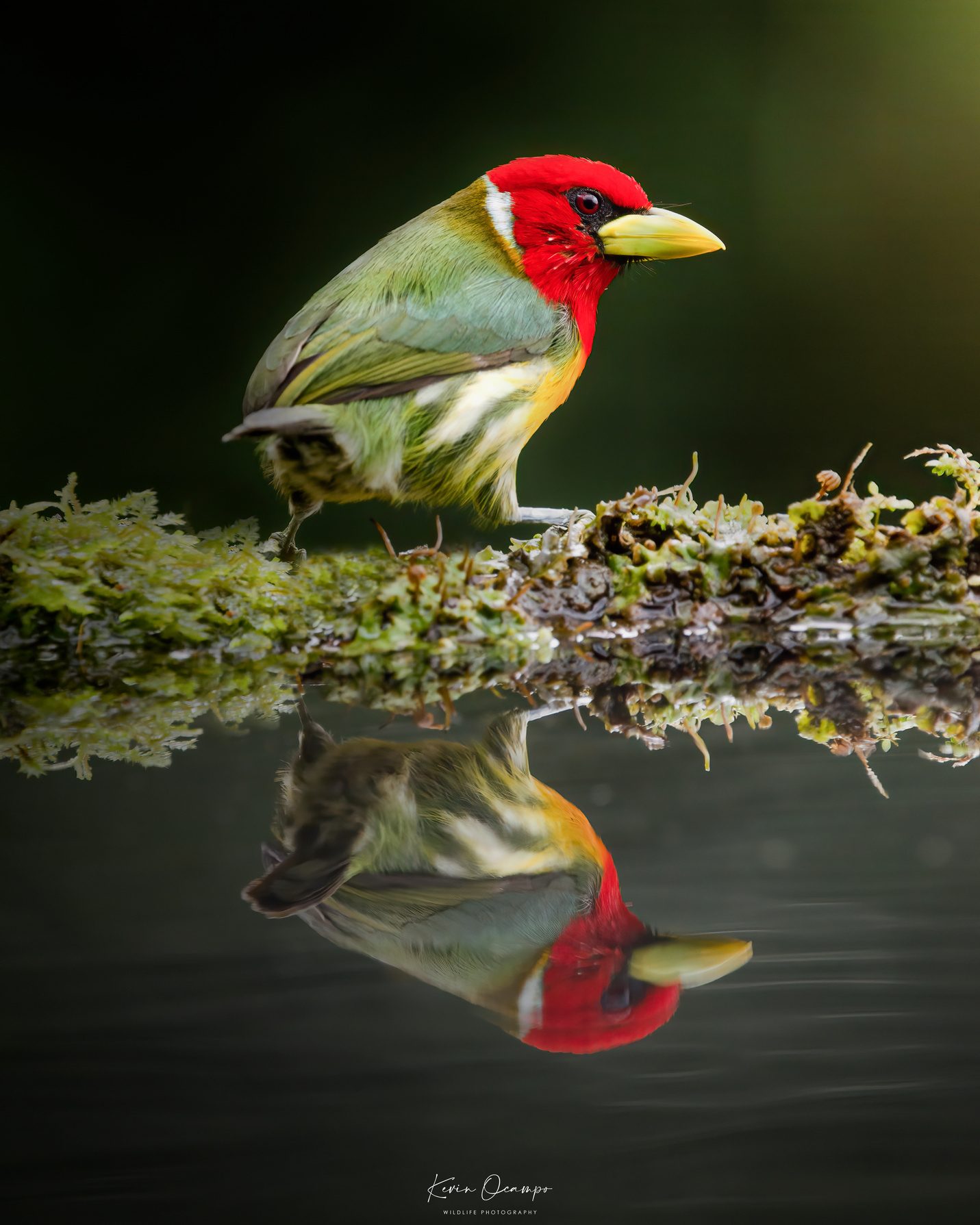 Bird Photography Tour — photo 4