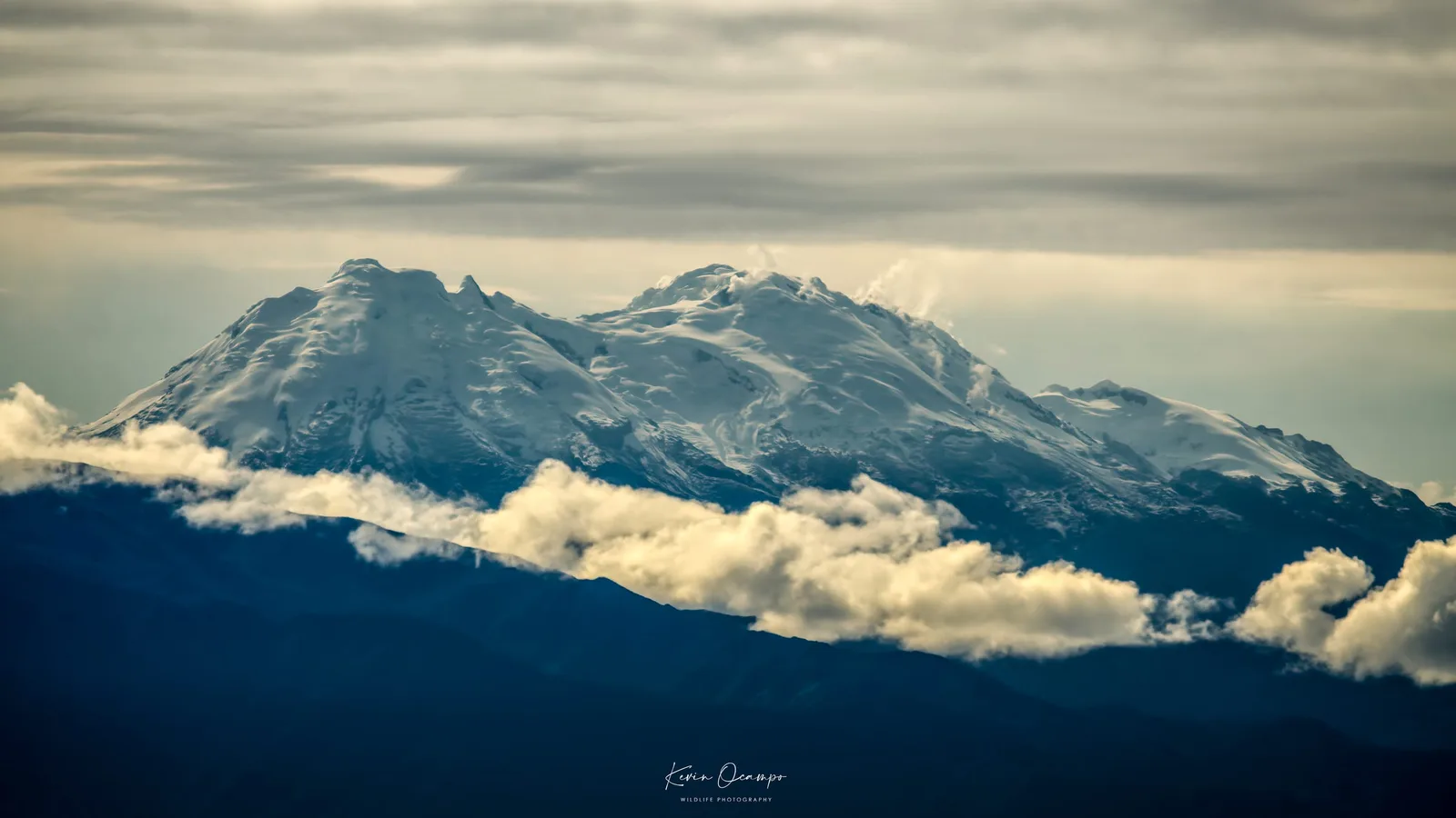Wildlife and bird photography captured on an Ocampo Expeditions tour in Colombia.